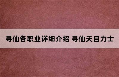 寻仙各职业详细介绍 寻仙天目力士